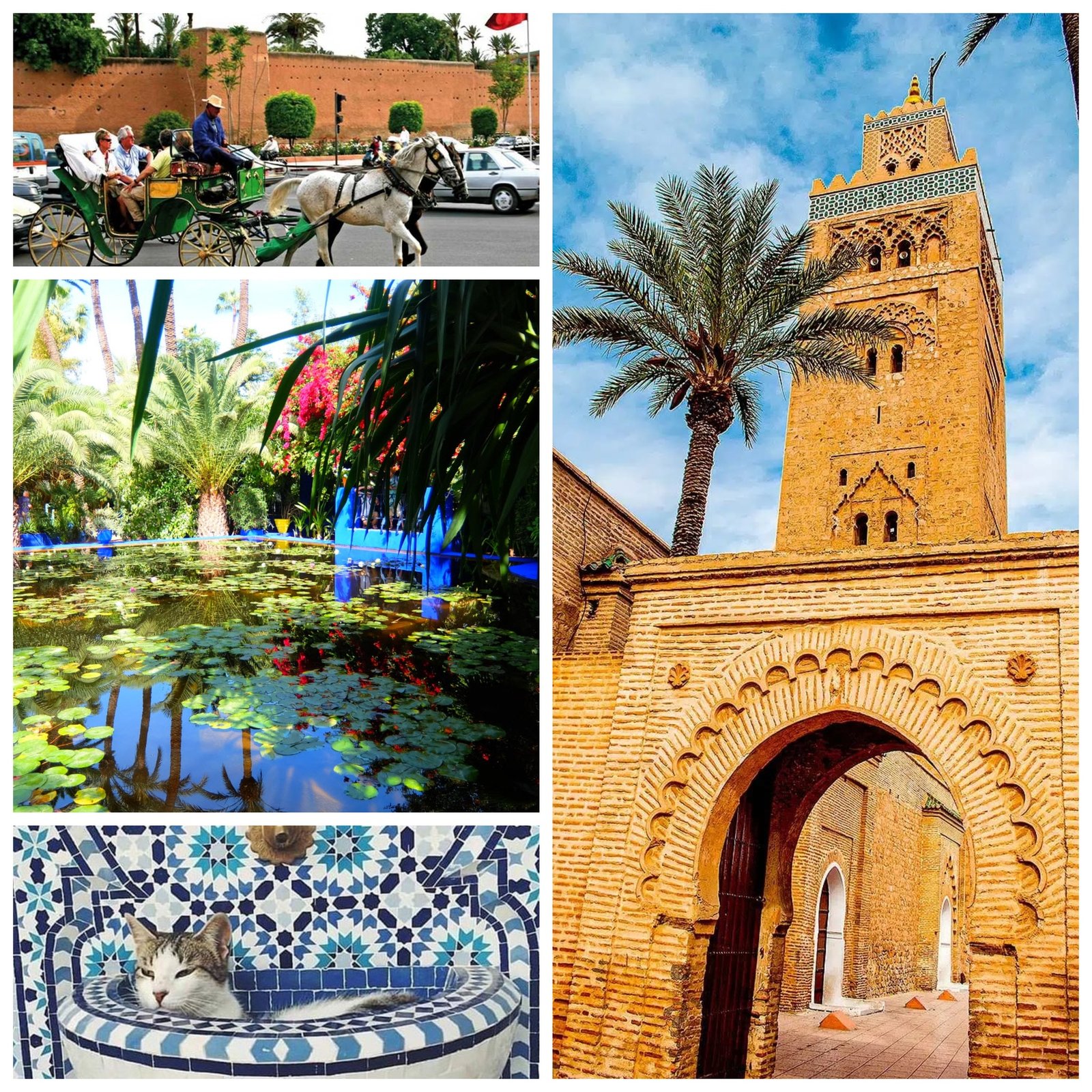 MARRAKESZ