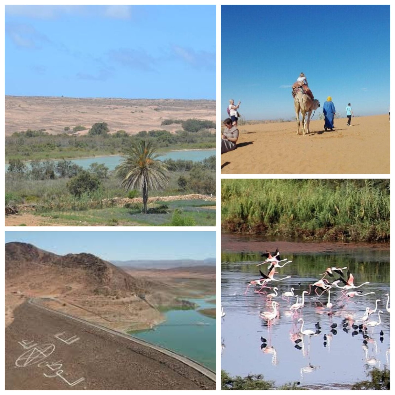 MAŁA SAHARA - JEEP 4X4